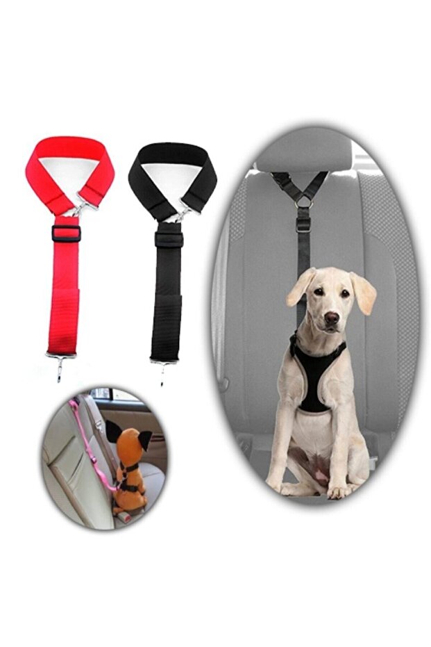 Car Dog Seat Belt Black Color