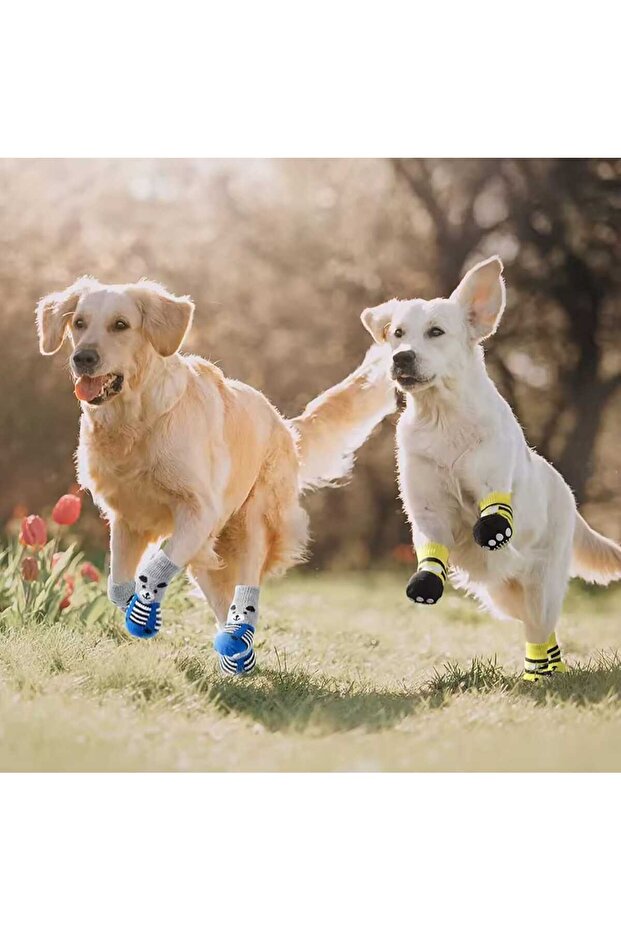 Non-Slip Breathable Knitted Cat Dog Socks - Anti Allergic Lycra Socks - Assorted