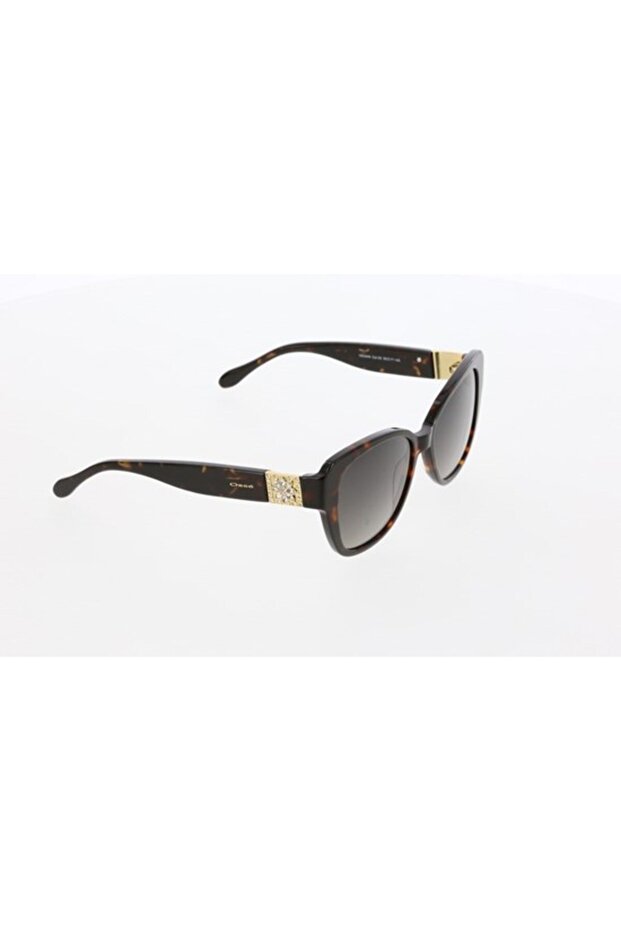 3444 GÜNEŞ GÖZLÜĞÜ - 4