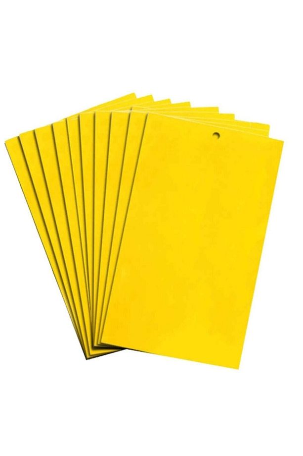 Yapışkan Sarı Kart Tuzak 10 Cm X 25 Cm 10 Adet - 2
