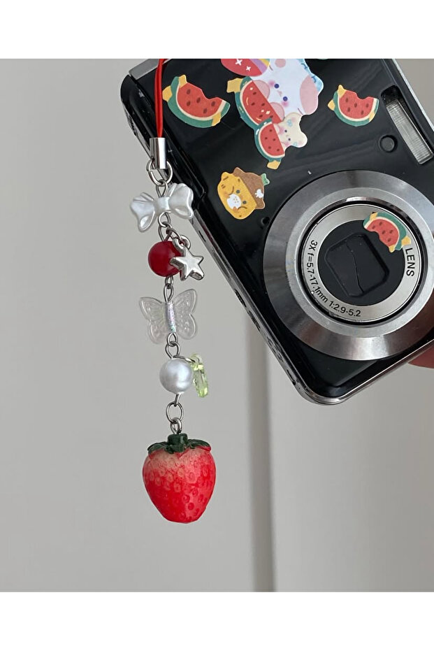 Hachi Themed Strawberry Fairycore Coquette Phone and Camera Charm