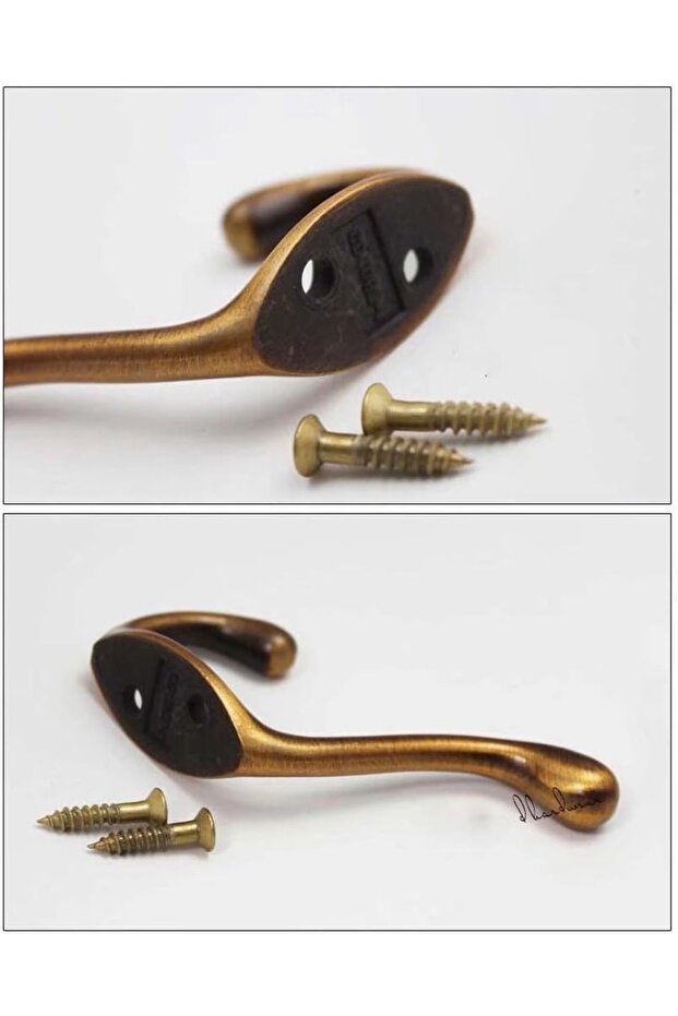 خطاف رداء بني - 3