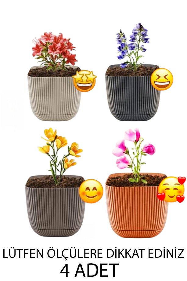 4 Adet 2 No Kare Çok Renkli Mercan Kare Kaktüs Ve Sukulent Saksı Seti - 1