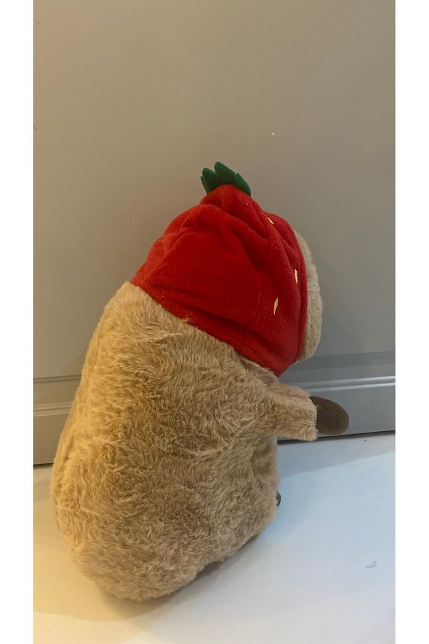 Kapibara Peluş Oyuncak Figür Yüksek Kalite Capybara Sevimli Kapibara Yumuşak Yastık Uyku Arkadaşı - 3