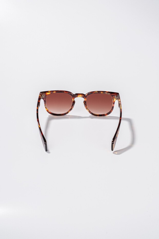 نظارات نيهون الشمسية - 3