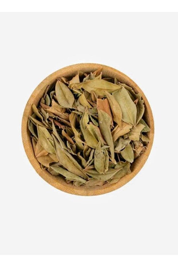 ورق س 250 جرام - 1