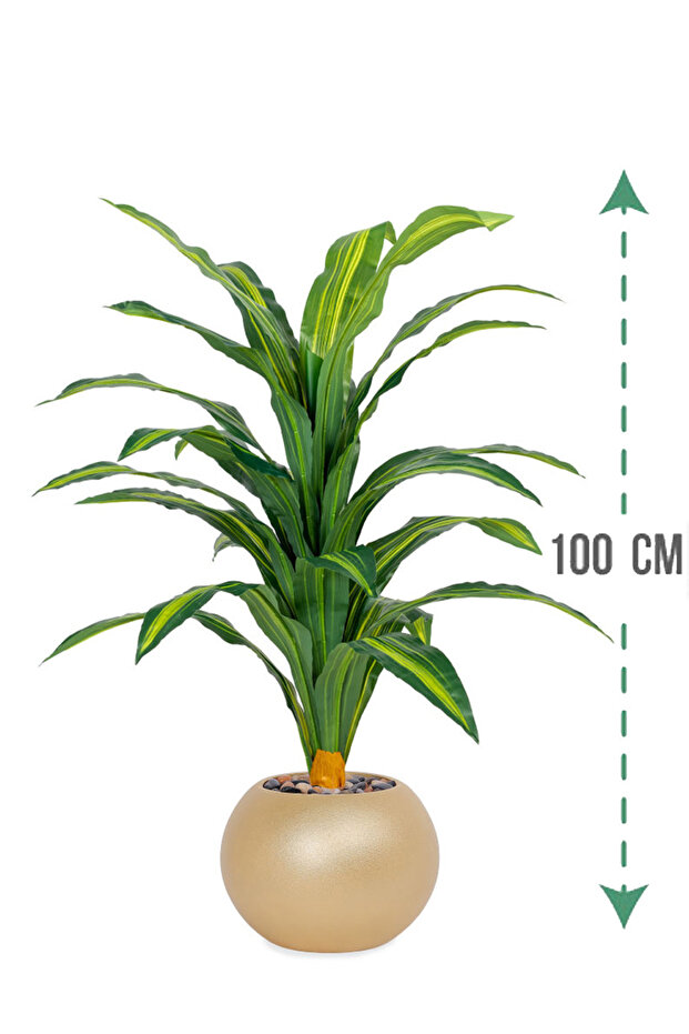 شجرة ذرة خضراء بمركن بلاستيك دائرى - 1