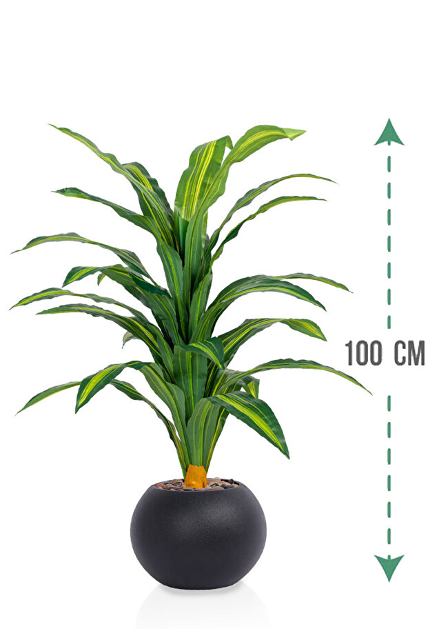 شجرة ذرة خضراء بمركن بلاستيك دائرى - 1