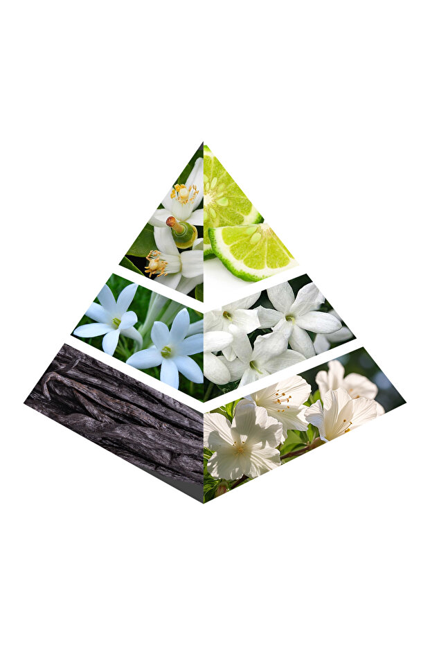 عطر ماجيكال واي - 5