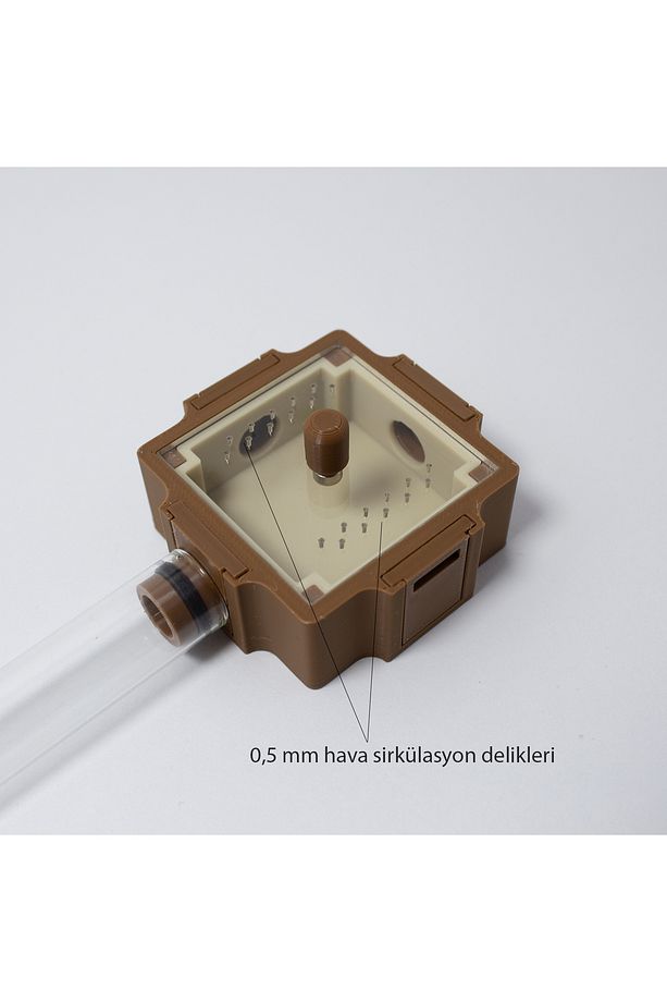 Outworld 5,8 Cm X 5,8 Cm | Formikaryum - 3