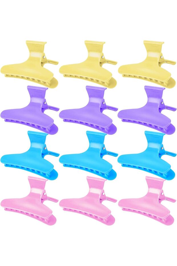 Assorted Hair Clips for Women