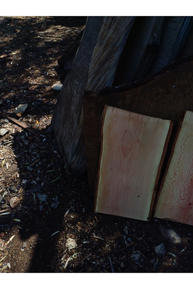 طاولة شجرة الطائرة (2 قطعة) - 3