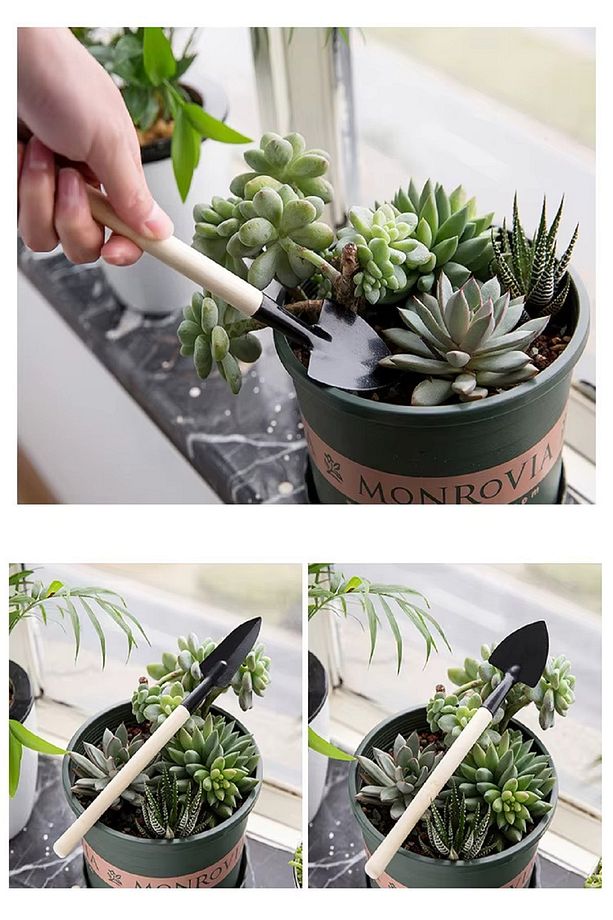 Ahşap Saplı Bonsai Çiçekleri Ve Saksı Bitkileri Için Bahçe Araçları Mini Kürek Tırmık Seti 6 Parça - 8