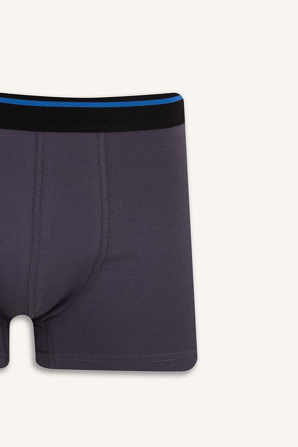 Regular Fit 3'lü Boxer E7208ax25sm - 4
