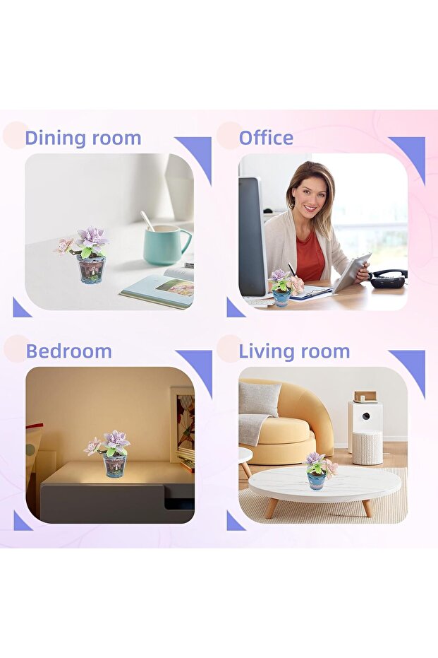 مجموعة زهور عصارية - 3