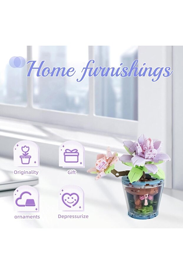 مجموعة زهور عصارية - 7