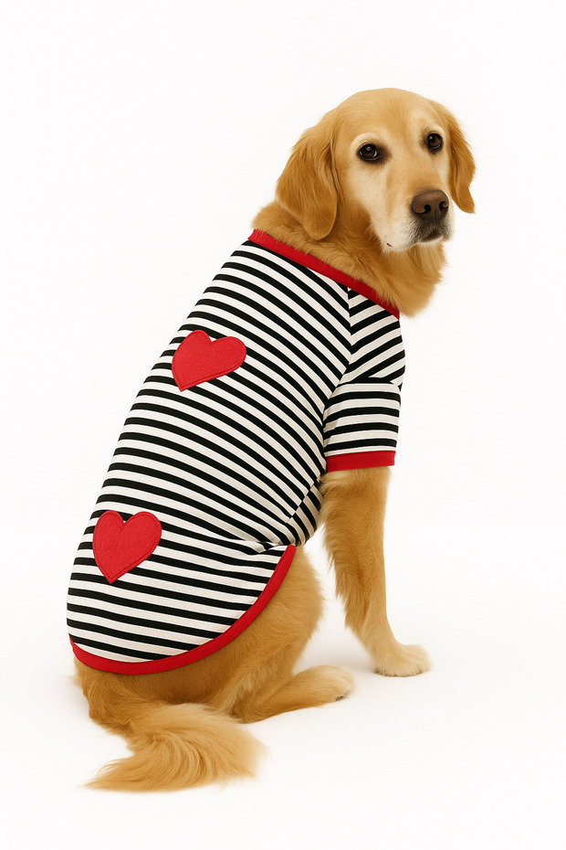 Big Breed Heart Summer Dog T-Shirt (11 kg -45 kg)