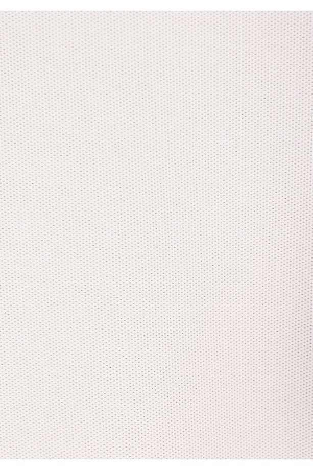 Regular Fit Polo Yaka Düz Erkek Taş Kısa Kol Tişört - 5