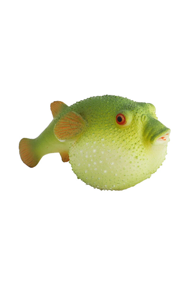 Strech Balon Balığı - 3