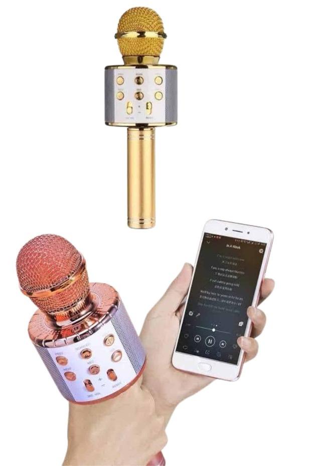 Bluetooth Hoparlör USB AUX SD Kart Kaoroke Mikrofon Uzun Pil Ömrü - 3