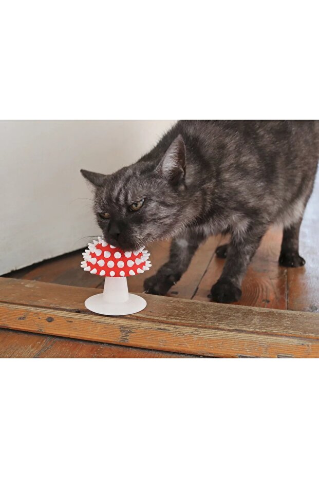 Mushroom Look Cat Scratching Toy – Nuthouse Mushroom |   Catnip Compatible, Can Be Pasted to the Wall - 3