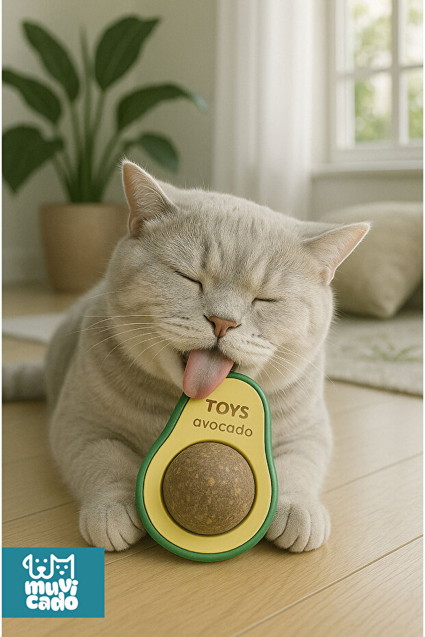 Organic Cat Grass Catnip Weed Cat Play Ball Avocado Catnip Grass Catnip Kitten Toys - 5