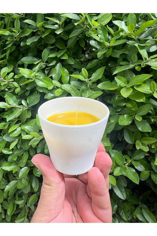 5 Adet Saksı Model Citronella Mum Limon Kokulu Sinek Kovan Mum Anti Sinek Aromaterapi Mum - 1