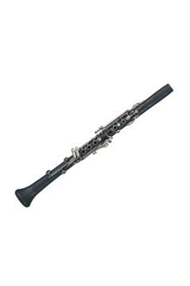 Bliss Plastic Clarinet Lb320vnpc - 1