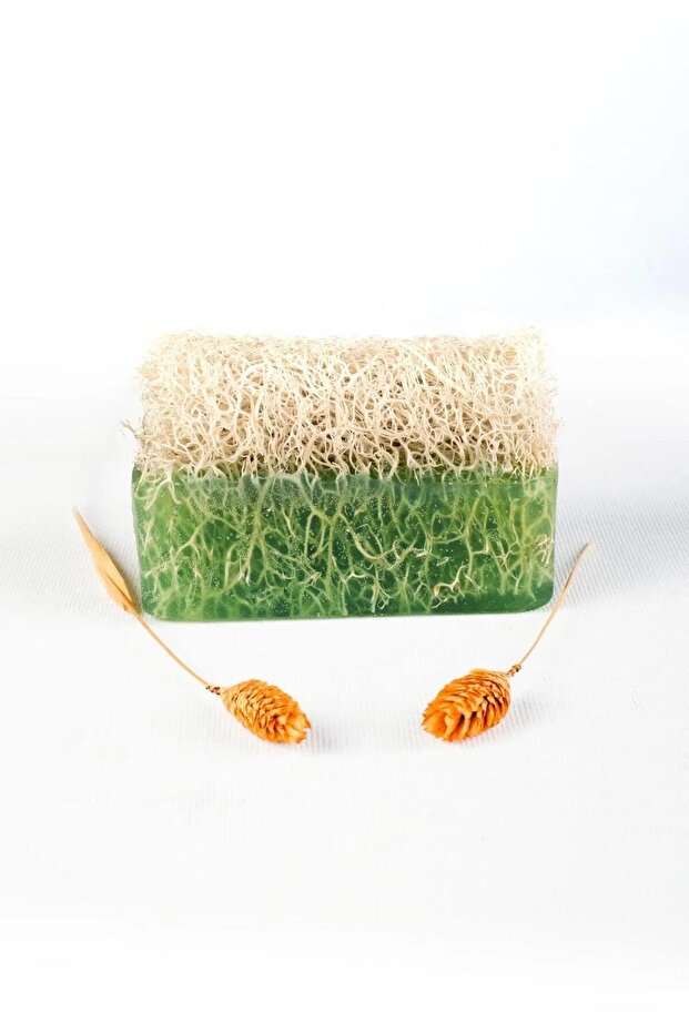 Natural Pumpkin Fiber Aloe Vera Soap 130 gr