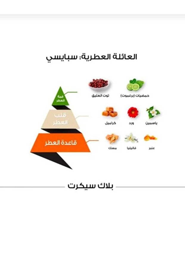 بلاك سكرت الماجد للعود 100 مل