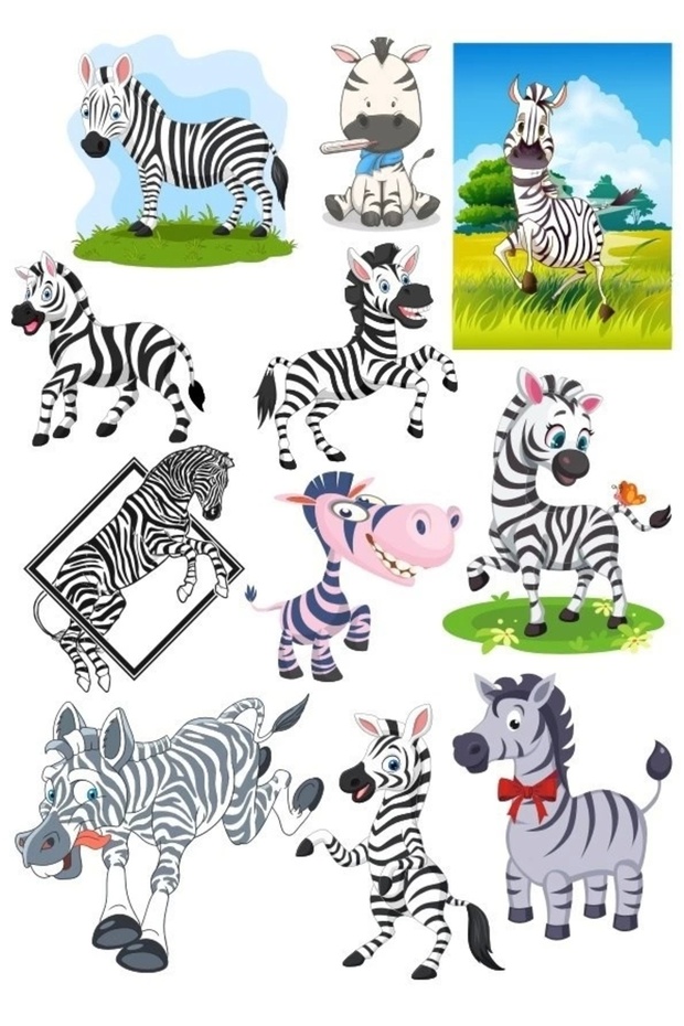 Zebra Sticker Set-2 12 Pieces Phone, Tablet, Notebook, Laptop Sticker