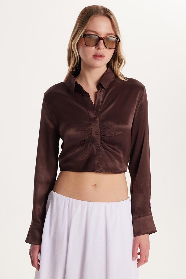 Women's Slim Fit Slim Fit Long Sleeve Classic Collar Brown Shirt