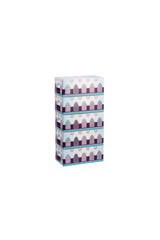 Facial Tissue 2 Ply - 200 Sheets 30 Boxes Arab Ramadan Eid Design