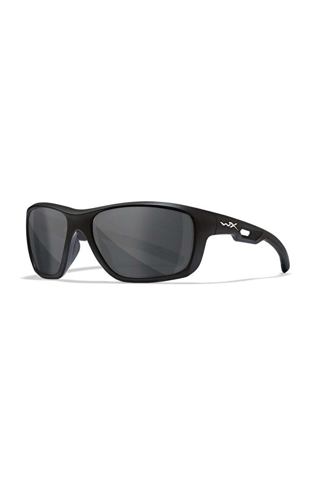 Aspect Sunglasses (Black)