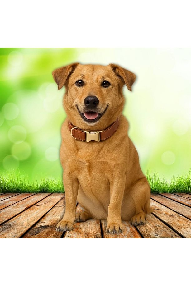 Gerçek Deriden El Yapımı Köpek Tasması, Apple AirTag Uyumlu Yuva, 50cm Ayarlanabilir Ölçü, Taba - 3