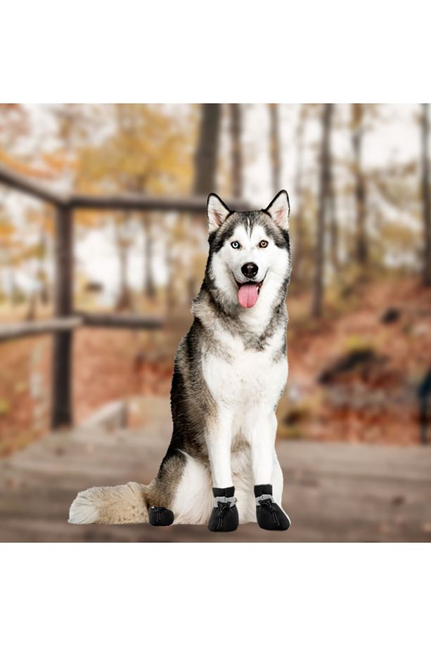 Yaz Ayları İçin Köpek Ayakkabısı Yumuşak Kaydırmaz, Aır Mesh Kumaş, Koşu Ayakkabısı - 4