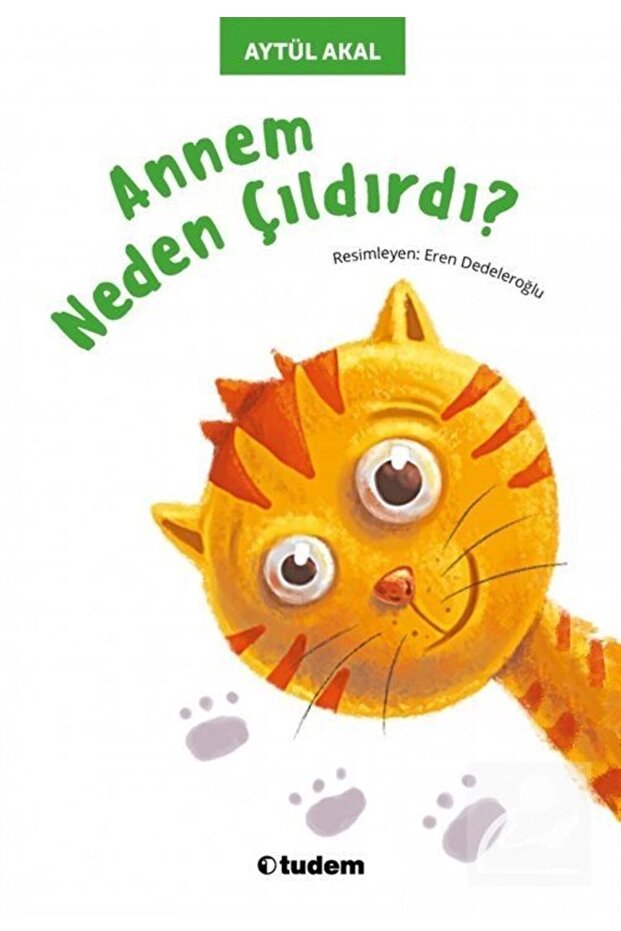 Annem Neden Çıldırdı