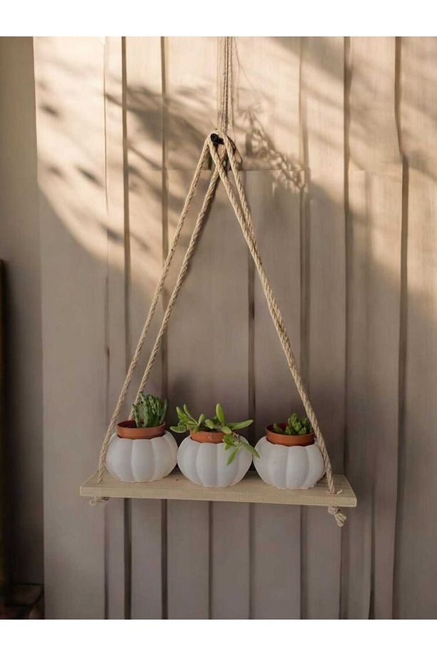 EM&MA 10'lu Kabak Sukulent Kaktüs Saksısı - Dekoratif Saksı - 7