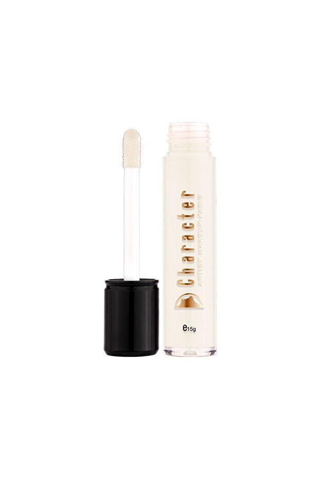 Block Out Concealer