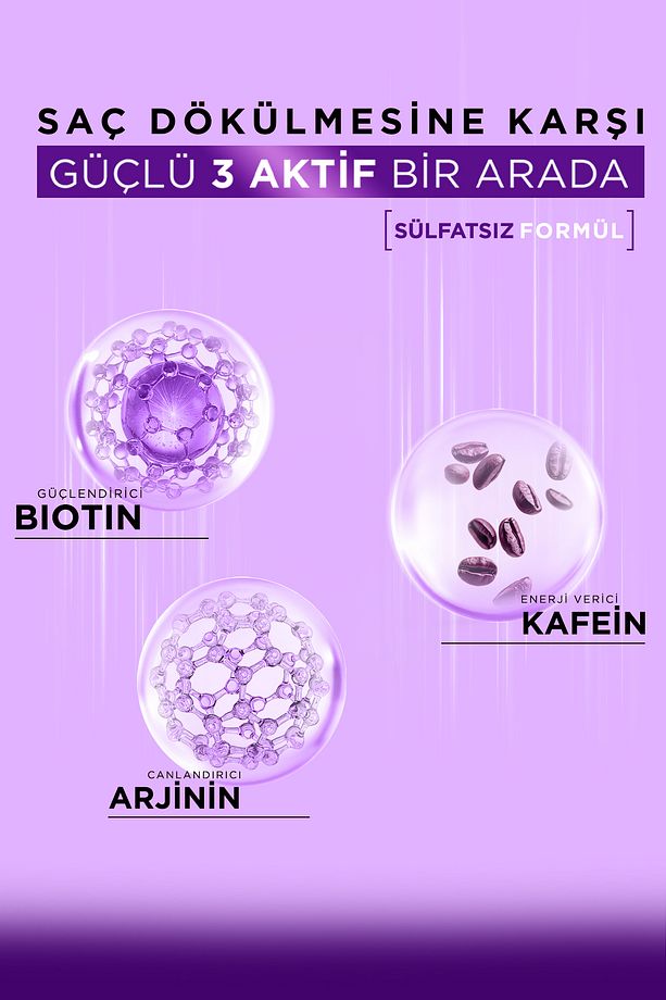 Kafein Arjinin Biotin Saç Dökülmesi Karşıtı Şampuan 400 Ml 3 Adet - 3