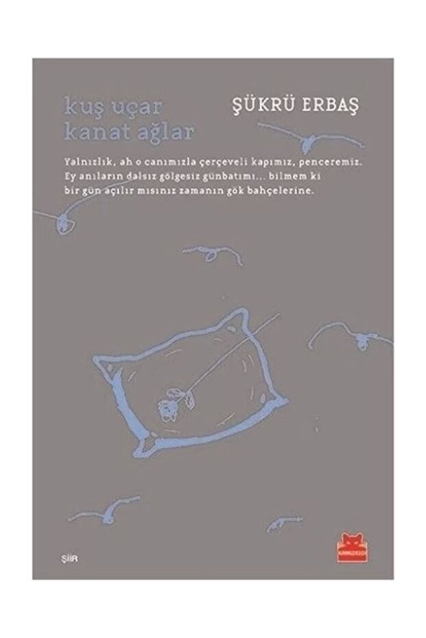 Kuş Uçar Kanat Ağlar