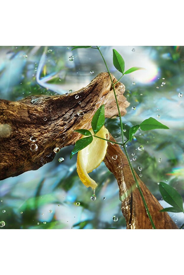 Magic Energy - Eau de Parfum - 5