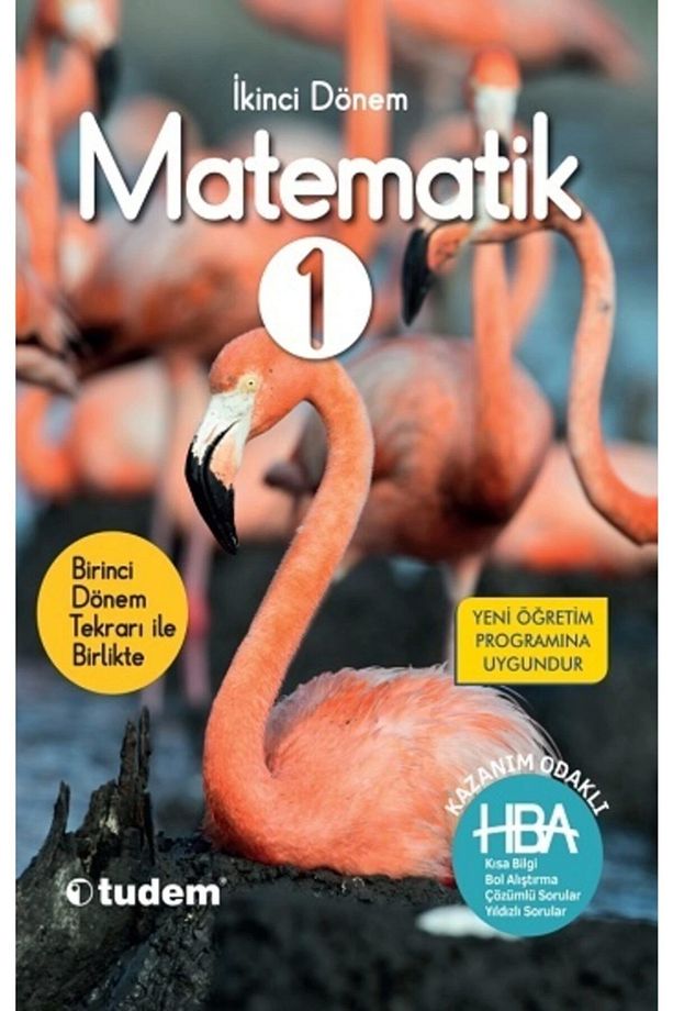 1. Sınıf Matematik Hepsi 1 Arada 2. Dönem Tudem Yayınları - 1