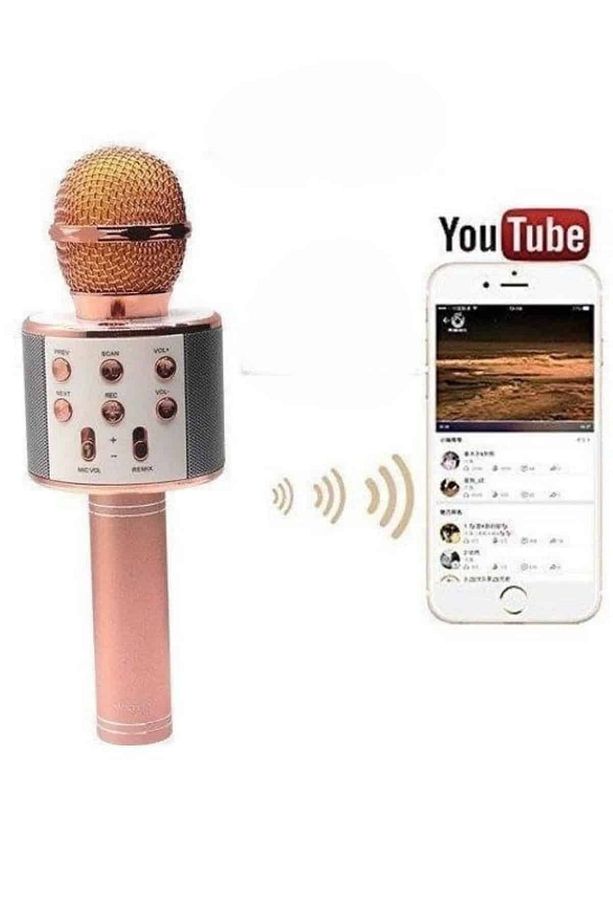 Bluetooth Hoparlör USB AUX SD Kart Kaoroke Mikrofon Uzun Pil Ömrü - 4