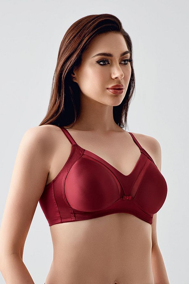 Tül Detay Minimizer Sütyen C12303 Bordo - 4