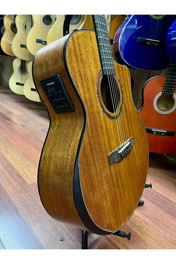 Elektro Akustik Gitar Sahne Gitarı - 6