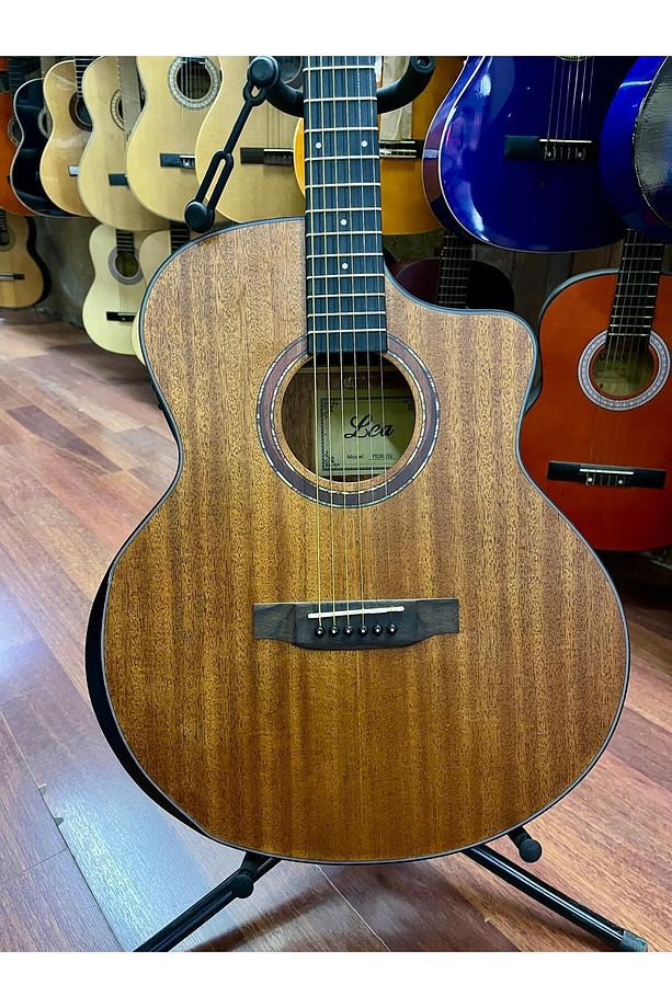 Elektro Akustik Gitar Sahne Gitarı - 4