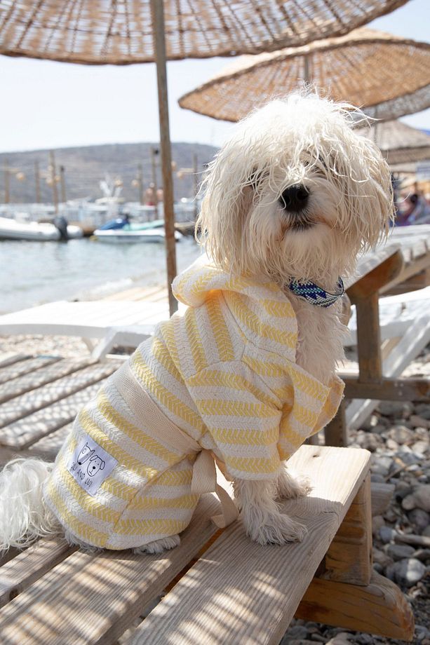 SARI PEŞTEMAL Köpek Bornozu - 3
