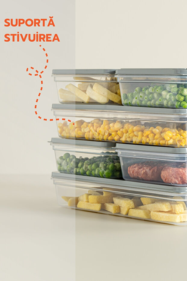 Freshbox Set For Food, 6 Boxes With Lids (4X600 ML, 2X1200 ML), Transparent With Grey Lid - 4