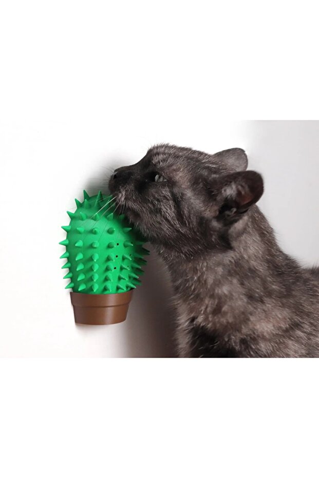 Cactus Cat Scratching Apparatus – Wall Mountable Toy with Catnip Chamber - 2